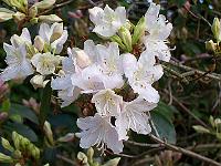 12-05-05kodak_196
