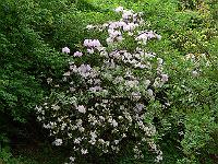 15-05-2006_10-13-21_67