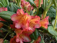02-06-2006_06-47-48_43