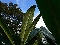 2010-09-15_08-12-15_0075