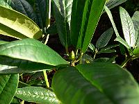2010-09-15_08-12-53_0085