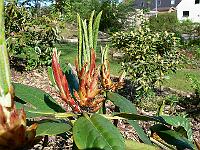 2011-05-08_09-30-24_0045
