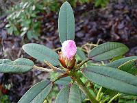 16-12-2006_14-51-05_05