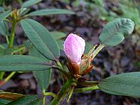 16-12-2006_14-51-26_10