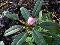 17-12-2006_12-37-26_12