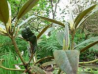 18-05-2006_17-44-40_298
