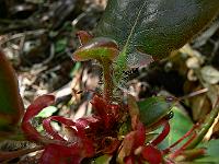 19-05-2007_11-00-06_16