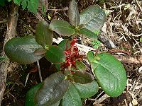 24-05-2007_14-15-57_90