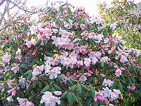 26-04-05kodak_158