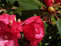 12-05-05kodak_068