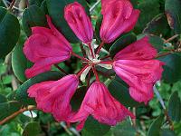 12-05-05kodak_175