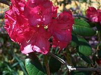 13-05-05kodak_115