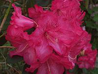 18-05-05kodak_278