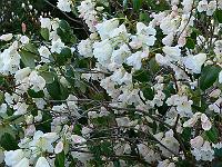 09-05-2006_08-57-23_77