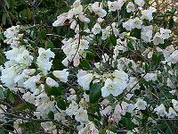 09-05-2006_08-57-32_80