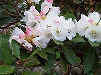 05-05-05kodak_206