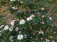 07-05-2006_09-44-39_372c