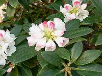07-05-2006_09-44-57_377