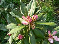10-05-2006_18-12-24_39