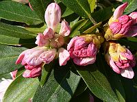 11-05-2006_16-45-32_18