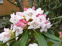 13-05-2006_10-52-58_164