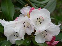 13-05-2006_15-07-07_14