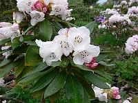 13-05-2006_15-07-15_16