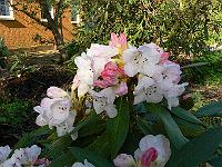 14-05-2006_08-25-12_207