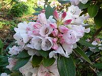 14-05-2006_08-25-34_213
