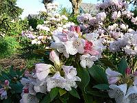 14-05-2006_08-25-52_218