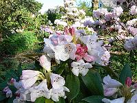 14-05-2006_08-25-56_219