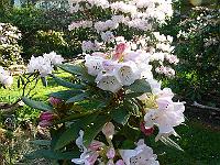 14-05-2006_08-26-30_228