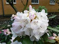 18-05-2006_20-23-57_102