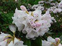 19-05-2006_09-59-28_67