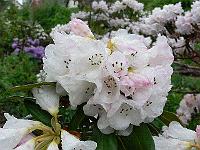 19-05-2006_09-59-50_73