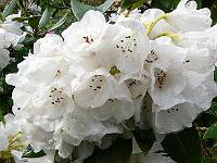 24-05-2006_18-25-55_52