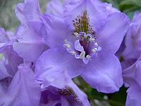 2008-06-04_18-28-58_0007