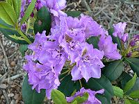 2009-05-24_18-36-01_0028