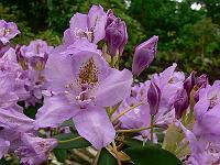 2010-06-08_08-29-09_0021
