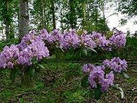 2010-06-08_14-59-50_0004