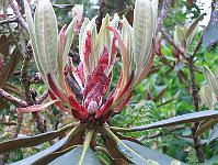 02-06-05canon_234