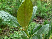 28-05-2006_08-14-53_59