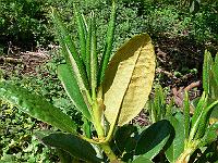 31-05-2006_13-52-53_95