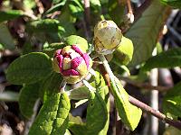 11-04-05kodak_041