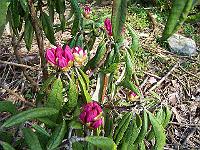 15-04-05kodak_141