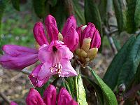 17-04-05kodak_066