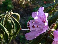 2009-04-17_07-02-08_0005