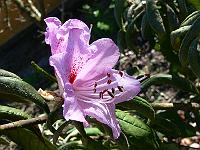2009-04-17_13-57-18_0055