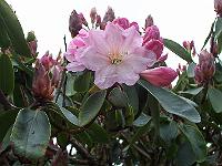16-05-05kodak_070