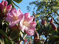17-05-05kodak_070